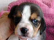 teg boy1 wk3