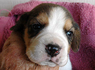 teg boy 3 wk3