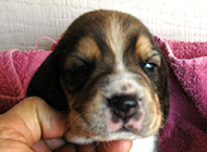 teg boy4 wk3