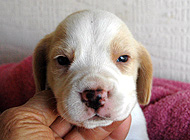teg girl1 wk3
