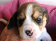 teg girl2 wk3