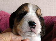 teg girl 3 wk3