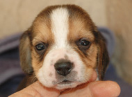 teg boy1 week4