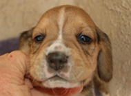 teg boy 4 week 4