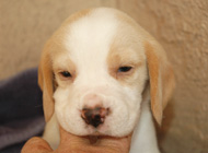 teg girl 1 week 4