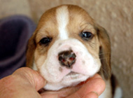 teg girl 2 week 4