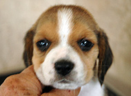 teg boy 1 week 5