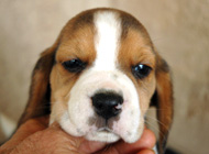 teg boy 2 week 5