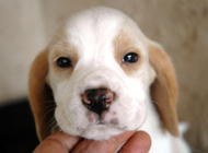 teg girl 1 week 5