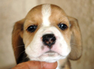 teg girl 2 week 5