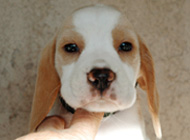 teg girl 1 week 6