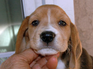 teg girl 1 week 6