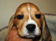 teg boy 4 week 7