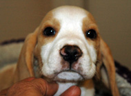 teg girl 1 week 7